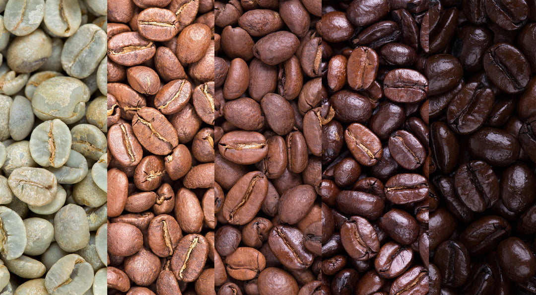 How Coffee Bean Types Influence Taste: Exploring Coffee Flavor Factors and Profiles