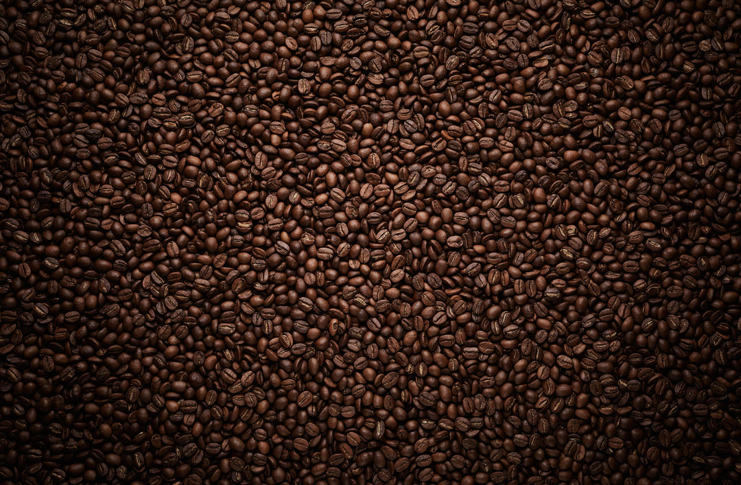 What Makes Coffee Beans Taste Different?