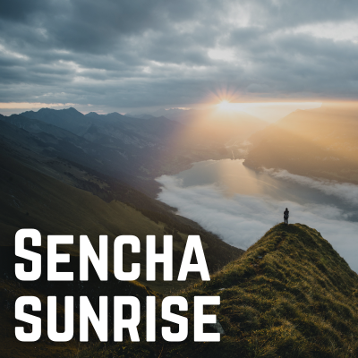 sencha-tea